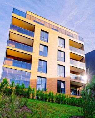 Konut binalarının modern mimari kompleksinde çam ağaçları