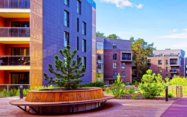 Pine trees at Modern architectural complex of apartment residential buildings reflex