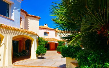 Palmiye ağacı ve konut kompleksi Porto Cervo refleksi olan şehir manzarası