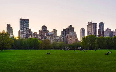 Central Park 'ta Manhattan ve yeşil çimen Batı Nyc refleksi