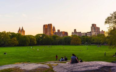 Central Park 'ta yeşil çimen ve Manhattan silueti Batı Nyc refleksi