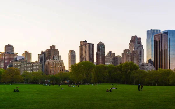 Manhattanin horisonttiin ja vihreä nurmikko Central Park West NYC refleksi — kuvapankkivalokuva