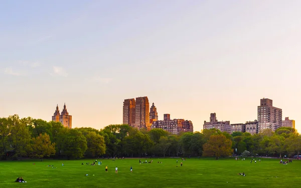 Green lawn et Manhattan skyline au Central Park West NYC reflex — Photo