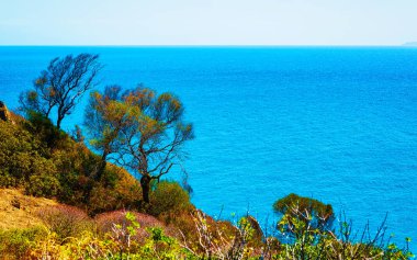 Capo Pecora tatil köyündeki Cliff Akdeniz Sardunya refleksi
