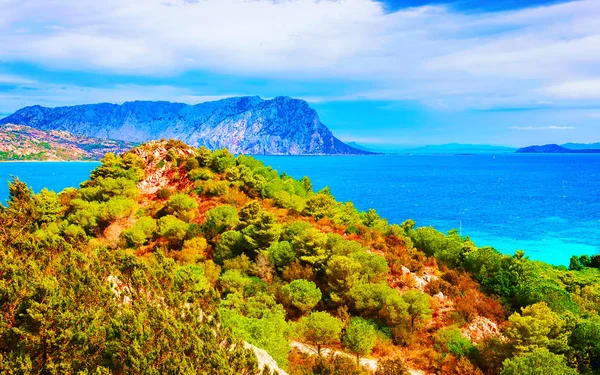 stock image Tavolara Island seen from San Teodoro Olbia Sardinia reflex