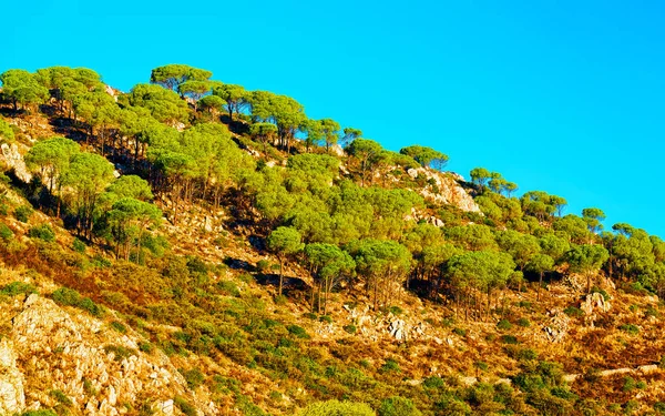 Peisaj cu munţi provincia Cagliari Sardinia reflex — Fotografie, imagine de stoc