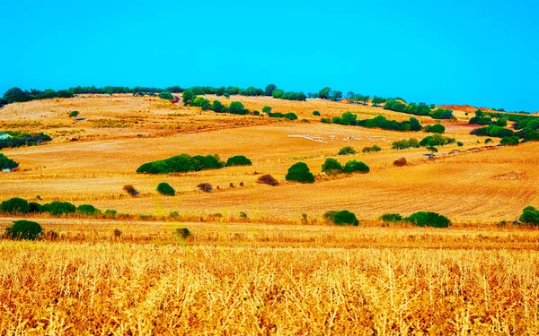 Naturskönt landskap med berg i Teulada Carbonia Iglesias Sardinien reflex — Stockfoto