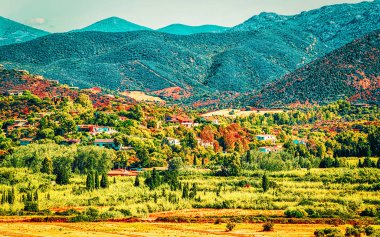 Sahne Chia Sardunya refleksi