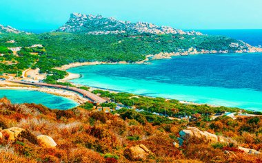 Santa Teresa Capo Testi Sardunya Sarmaşığı İtalya refleksi