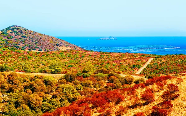 Landscape and Mediterranean Sea Teulada Cagliari Sardinia reflex — Stock Photo, Image