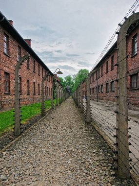 Dikenli tel ve Auschwitz toplama kampında barakalarda