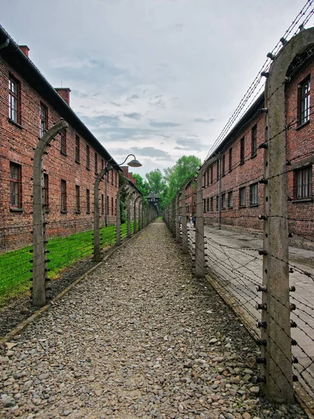 Taggtråd och barackerna i Auschwitz koncentrationsläger Stockbild