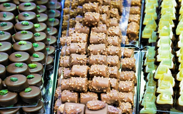 Collection of Swiss chocolate sweet with pistachio nuts and citron — Stock Photo, Image