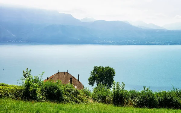 Domek w okolicach Lavaux Winnica tarasy szlak turystyczny — Zdjęcie stockowe