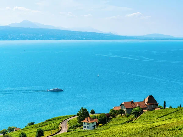 Lavaux szőlőskert terasz gyalogos ösvény a svájci Stock Kép