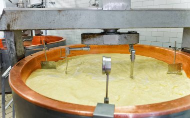 Fransa'nın süt beyaz peynir Gruyere de Comte işlenmesi