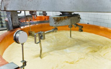 Süt Fransa peynir Gruyere de Comte imalatı