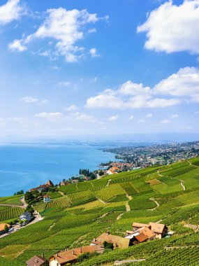 Lavaux bağ izi İsviçre hiking teraslar yakınındaki İsviçreli chalets