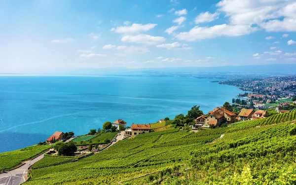 Paesaggio di Lavaux Vineyard Terrazza sentiero escursionistico della Svizzera — Foto Stock