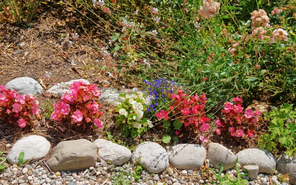 Dekoracyjne kwiaty na wewnętrznym dziedzińcu Yverdon w Szwajcarii — Zdjęcie stockowe