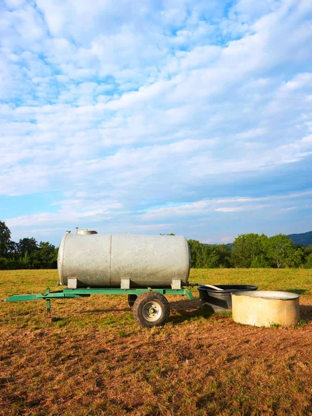 Saluran air untuk minum ternak sapi di lapangan — Stok Foto