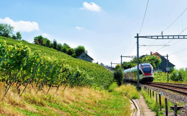 Lavaux bağ izi İsviçre hiking Teras, tren çalıştıran