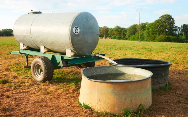 Saluran air minum untuk sapi di lapangan — Stok Foto