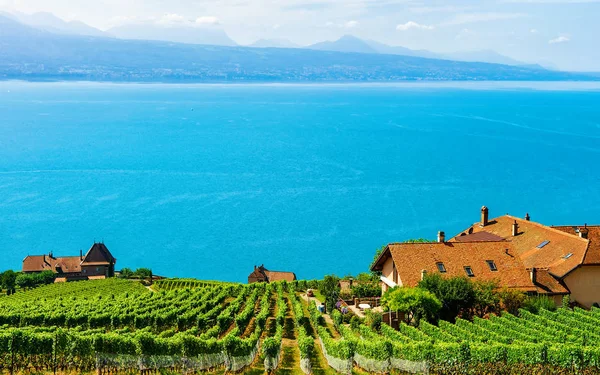 Chalets près de Vignoble Terrasse sentier de randonnée de Lavaux en Suisse — Photo