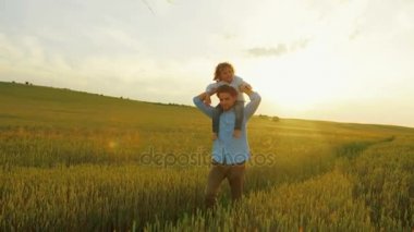 Mutlu baba oğlu yeşil buğday alanında günbatımı üzerinde çalışan ile. Genç baba oğlu omuzlarında tutarak. Uçurtma uçan ile oynayan çocuk. Yakın çekim