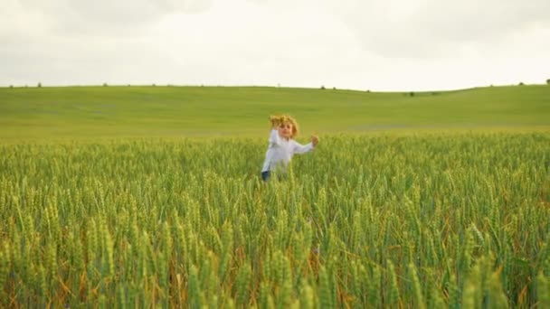 Niño feliz corriendo con juguete de avión de madera a través del campo verde. Guapo chico jugando con avión juguete en el prado . — Vídeo de stock