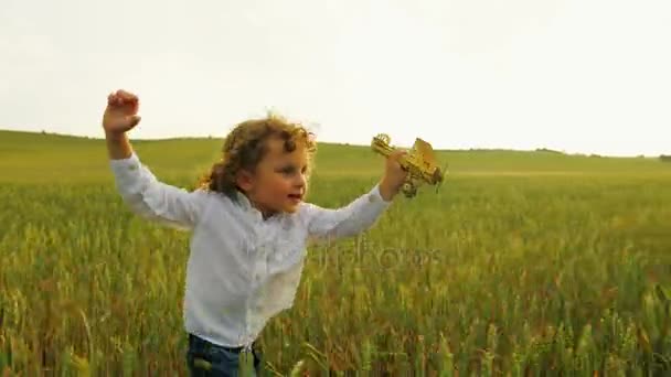 Knappe krullend jongetje met gele vliegtuig speelgoed in het groene tarweveld, weide. Close-up — Stockvideo