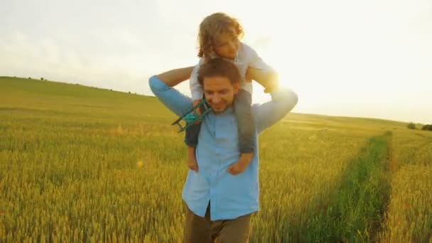 Vater und Sohn laufen im grünen Weizenfeld. junger Vater hält seinen Sohn auf den Schultern. Junge spielt mit Holzflugzeug. Nahaufnahme — Stockvideo