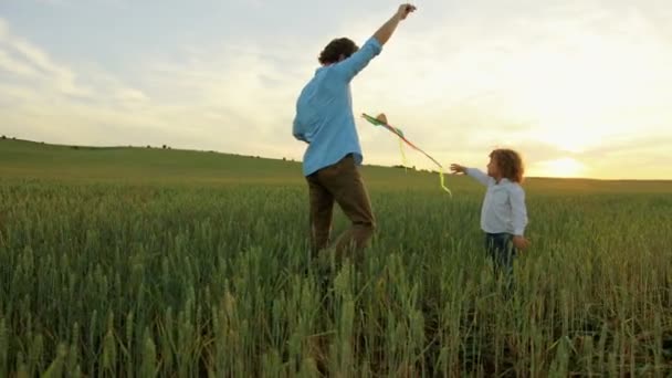 Feliz familia de padre e hijo pequeño jugando con colorido cometa voladora en el campo de trigo verde en la puesta del sol — Vídeo de stock