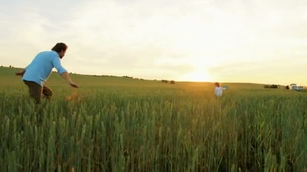 Glücklicher Vater und kleiner Sohn beim Spielen mit einem blauen Holzflugzeug im grünen Weizenfeld bei Sonnenuntergang. Mann läuft mit kleinem Kind — Stockvideo