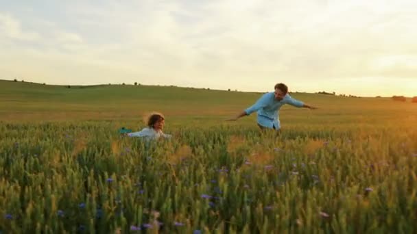 Glücklicher Vater mit kleinem Sohn, der mit Holzflugzeug durch das grüne Weizenfeld rennt. Vortäuschen wie fliegen — Stockvideo