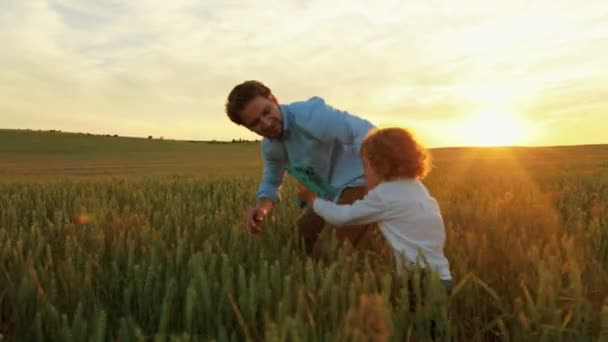 Pai feliz com o pequeno filho correndo de mãos dadas através do campo de trigo verde com brinquedo de avião de madeira. Fingindo que voa — Vídeo de Stock