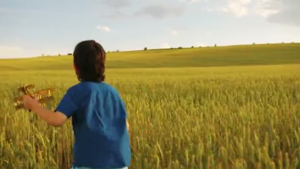 Emotionele jongen uitgevoerd in het veld tijdens het spelen met speelgoed vliegtuig. Uitzicht vanaf de achterkant. — Stockvideo
