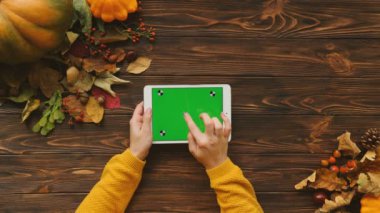 Sonbahar düz lay ile akçaağaç yaprakları, kahverengi ahşap masa kabak ve beyaz tablet bilgisayarda. Sayfa yakınlaştırma scroling, eller kadın. Üstten Görünüm. Chroma anahtar. Hareket izleme