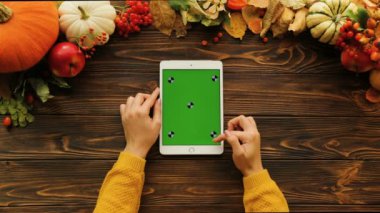Sonbahar düz beyaz tablet ile yeşil perde yatırın ve akçaağaç yaprakları, ahşap masa üzerinde etrafında kabak. Kadın dokunarak. sayfa kaydırma. Üstten Görünüm. Chroma anahtar. Hareket izleme
