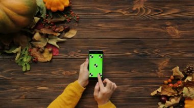 Kahverengi ahşap masa üzerinde yukarıdan Sonbahar akçaağaç yaprakları ve kabak. Kaydırma, sürgülü, siyah akıllı telefon ile yeşil perde dokunarak kadın. Chroma anahtar. Hareket izleme