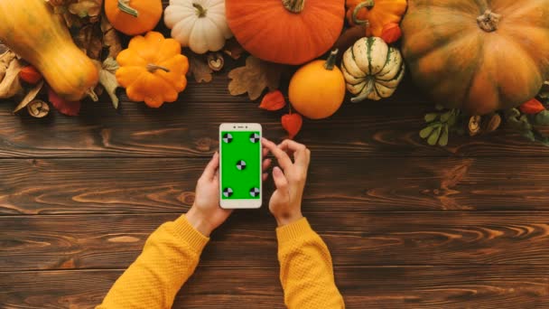 Top view of autmn composition of pumpkins on the top of the wooden table. Woman tapping and scrolling pages on the white phone with green screen. Chroma key, Tracking motion — Stock Video