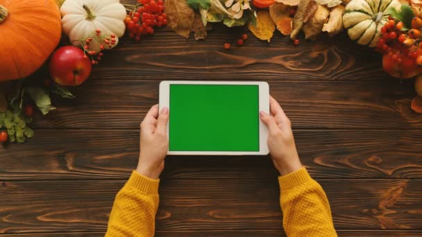 Composição de outono com abóboras, folhas de bordo, maçãs no topo da mesa de madeira marrom. Mulher segurando tablet computador com tela verde. Deitado. Chave Chroma. Vista superior — Vídeo de Stock