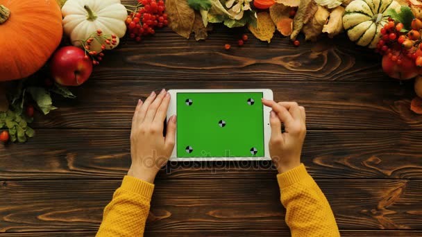 Beautiful autunm top view with pumpking, maple leaves and nuts on wooden table. Woman scrolling, zooming and tapping on touchscreen of white tablet device with green screen. Chroma key. Tracking — Stock Video