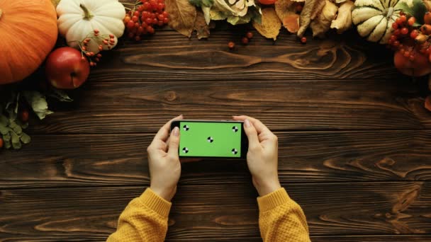 Top view of fall composition with pumkins, maple leaves, nuts and black smart phone on the brown wooden table. Woman holding phone with green screen. Chroma key. Tracking motion — Stock Video