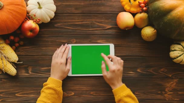 Composición otoñal con calabazas, hojas de arce y verduras en la parte superior de la mesa de madera marrón. Mujer desplazándose y tocando en la computadora tableta con pantalla verde. Acostado. Clave de croma. Vista aérea — Vídeos de Stock