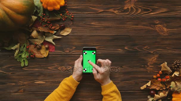 Fall flat lay with maple leaves, pumpkins and black smartphone on the wooden table. Top view. Woman scrolling, tapping on the touchscreen. Chroma key. Tracking motion — Stock Video