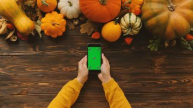 Ahşap masa üzerinde yukarıdan Sonbahar pumpkins in. Kaydırma, dokunarak ve akıllı telefon yeşil ekran üzerinde yakınlaştırma eller kadın. Dikey konum. Chroma anahtar. Hareket izleme