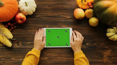 Ahşap masa üzerinde sonbahar üstten görünüm sebze ve meyve ile. Kadın beyaz tablet cihazın yeşil ekran ile dokunmatik ekran dokunarak. Hareket izleme. Chroma anahtar