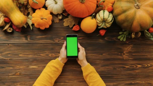 Die Herbstflache lag mit Kürbissen auf der Tischplatte. Frau tippt und blättert auf dem schwarzen Smartphone mit grünem Bildschirm auf dem Holztisch. Chroma-Schlüssel — Stockvideo
