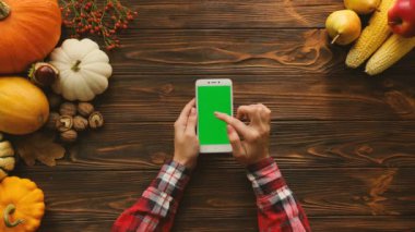 Ahşap masa sonbahar meyve ve sebze kompozisyonu. Sonbahar üstten görünüm. Kaydırma, yakınlaştırma, beyaz smartphone ile yeşil ekran dokunarak kadın. Chroma anahtar.